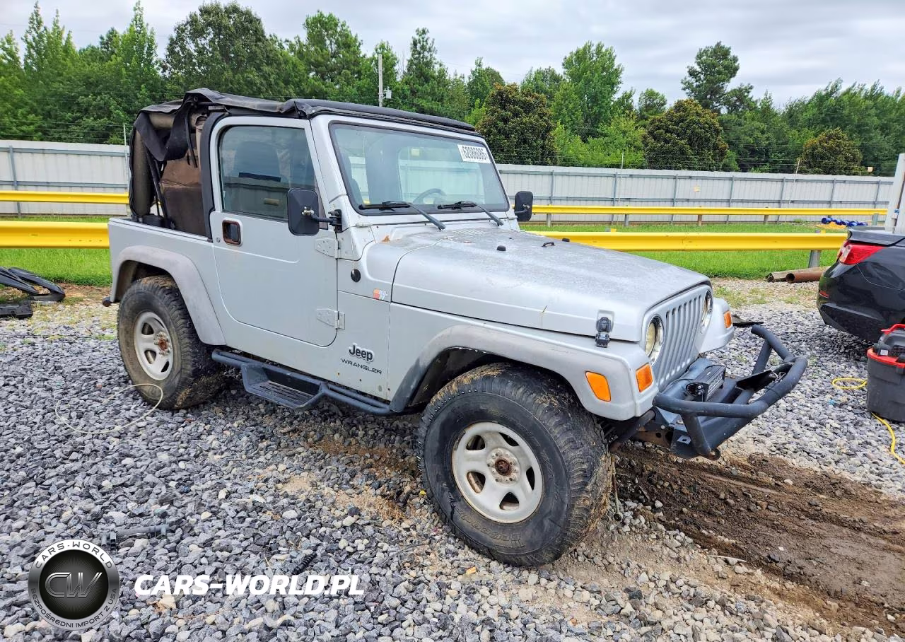 2003 Jeep Wrangler - Tj Se VIN:1J4FA29103P313120 - 4
