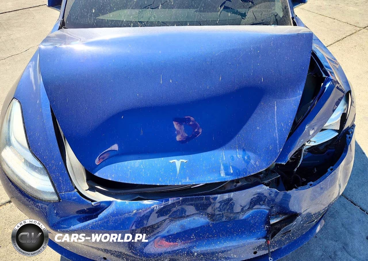 2018 Tesla Model 3 VIN:5YJ3E1EA0JF160341 - 11