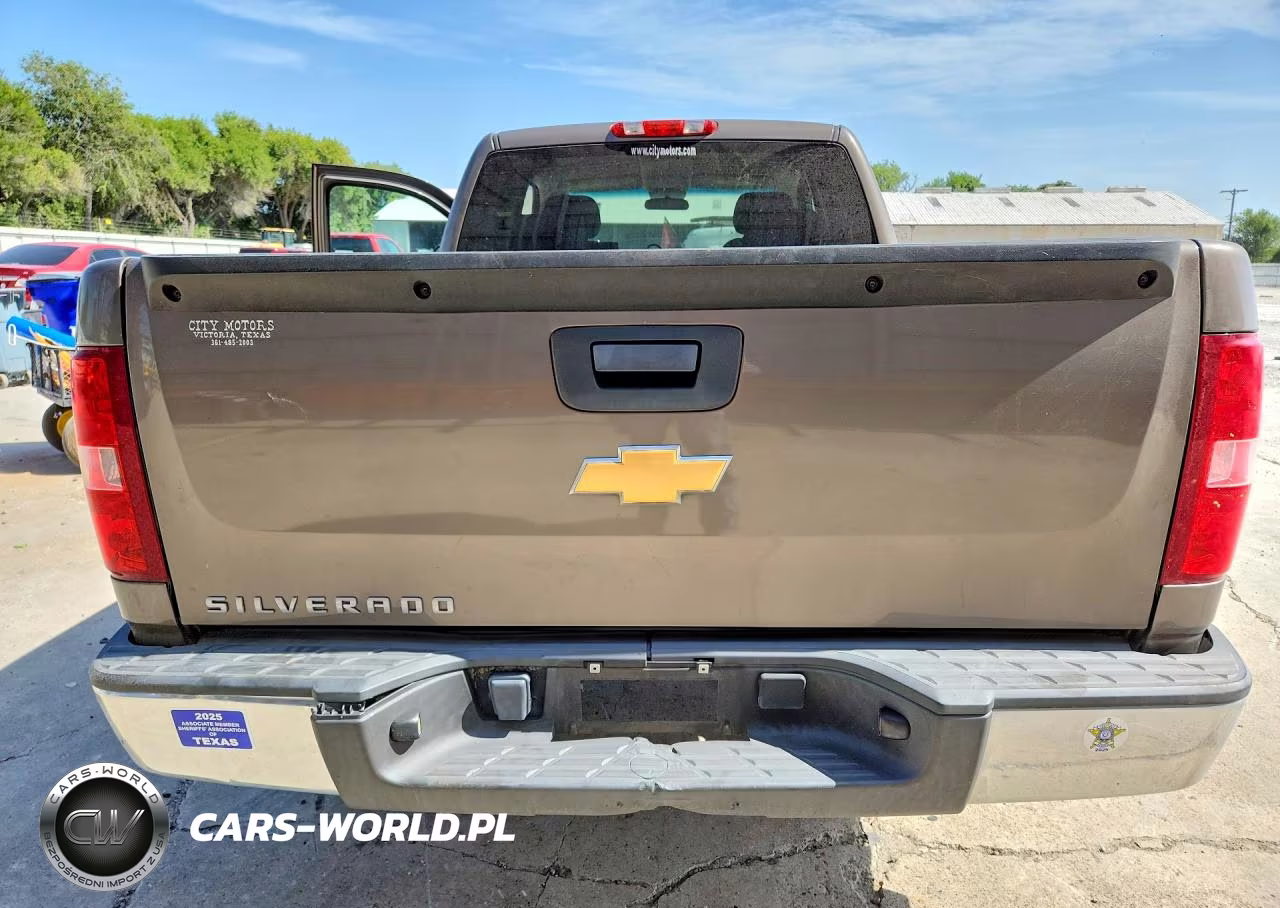 2013 Chevrolet Silverado C1500 VIN:1GCRCPEX4DZ251859 - 6