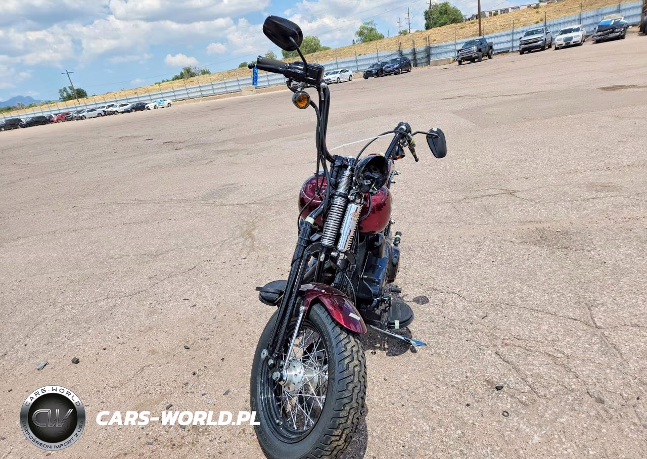 2009 Harley-Davidson Flstsb VIN:1HD1JM5139Y015194 - 2