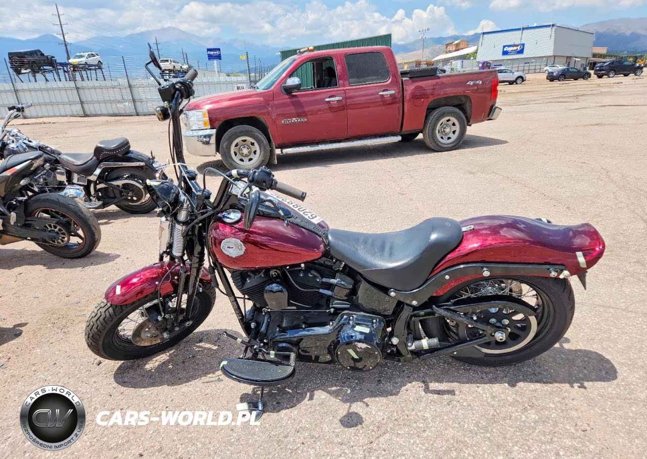 2009 Harley-Davidson Flstsb VIN:1HD1JM5139Y015194 - 3