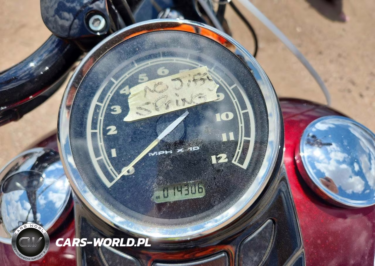 2009 Harley-Davidson Flstsb VIN:1HD1JM5139Y015194 - 7
