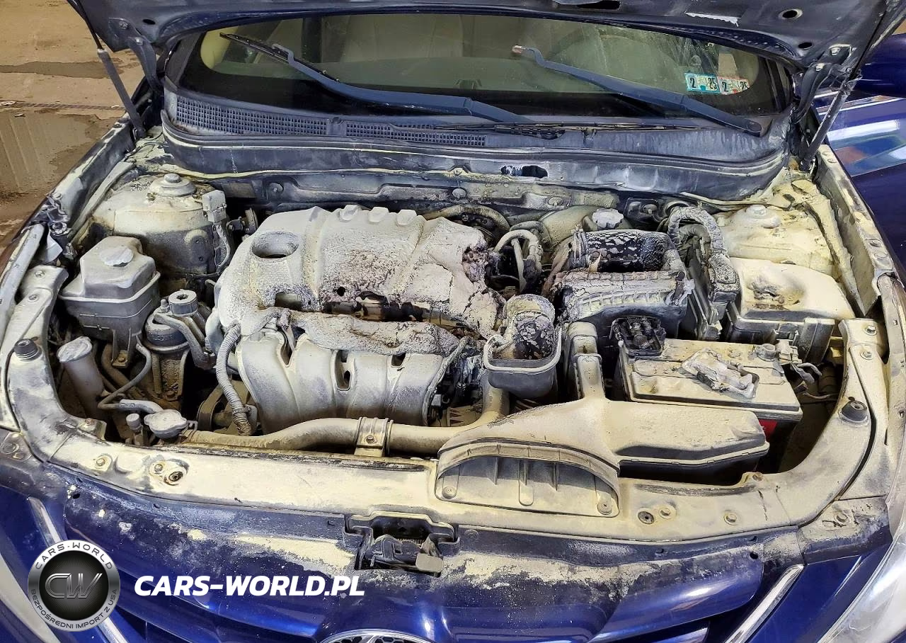2011 Hyundai Sonata Gls VIN:5NPEB4AC7BH106838 - 11