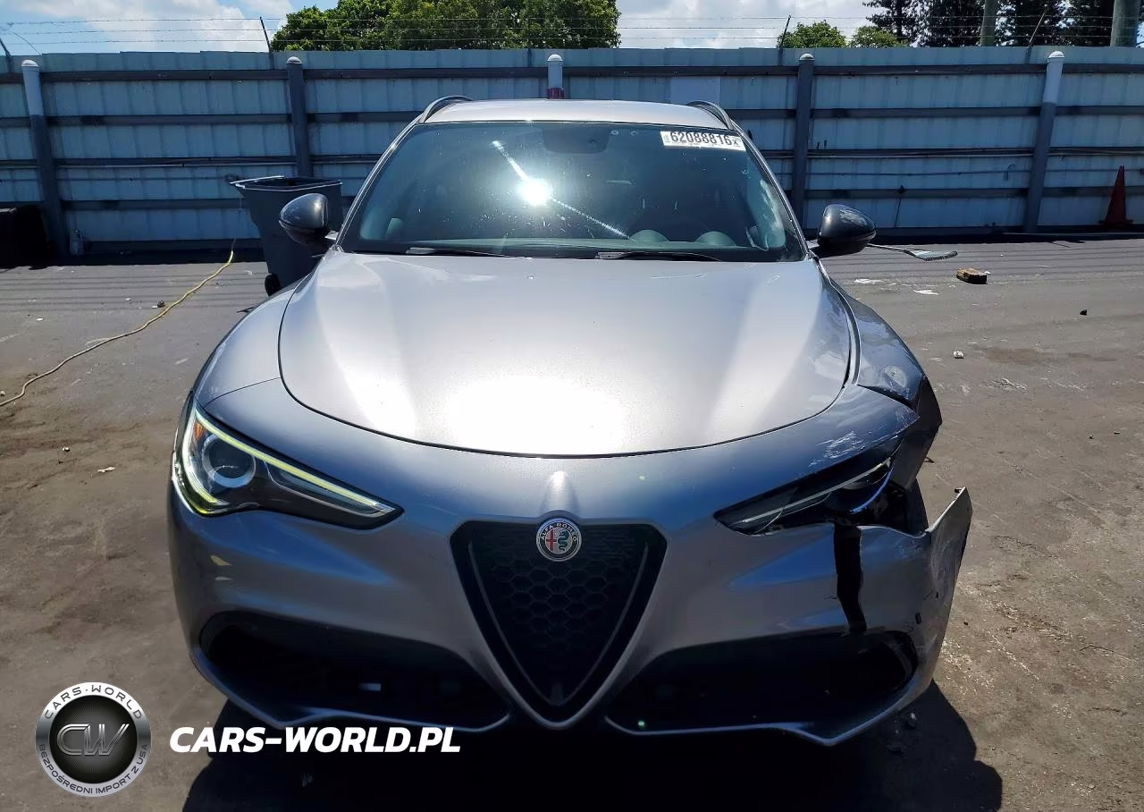 2019 Alfa Romeo Stelvio VIN:ZASPAJAN0K7C65997 - 5