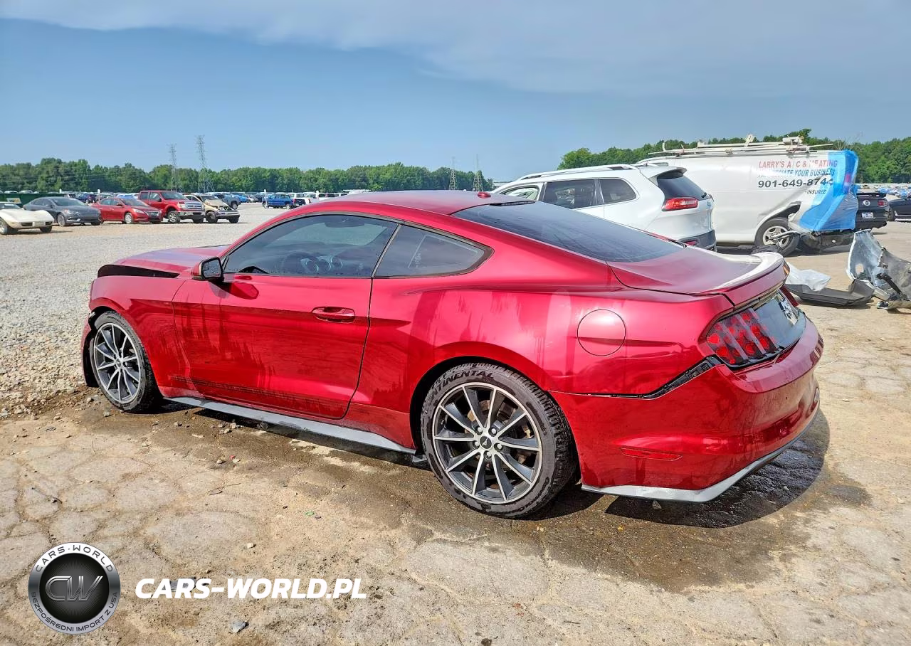 2017 Ford Mustang VIN:1FA6P8TH2H5305056 - 2
