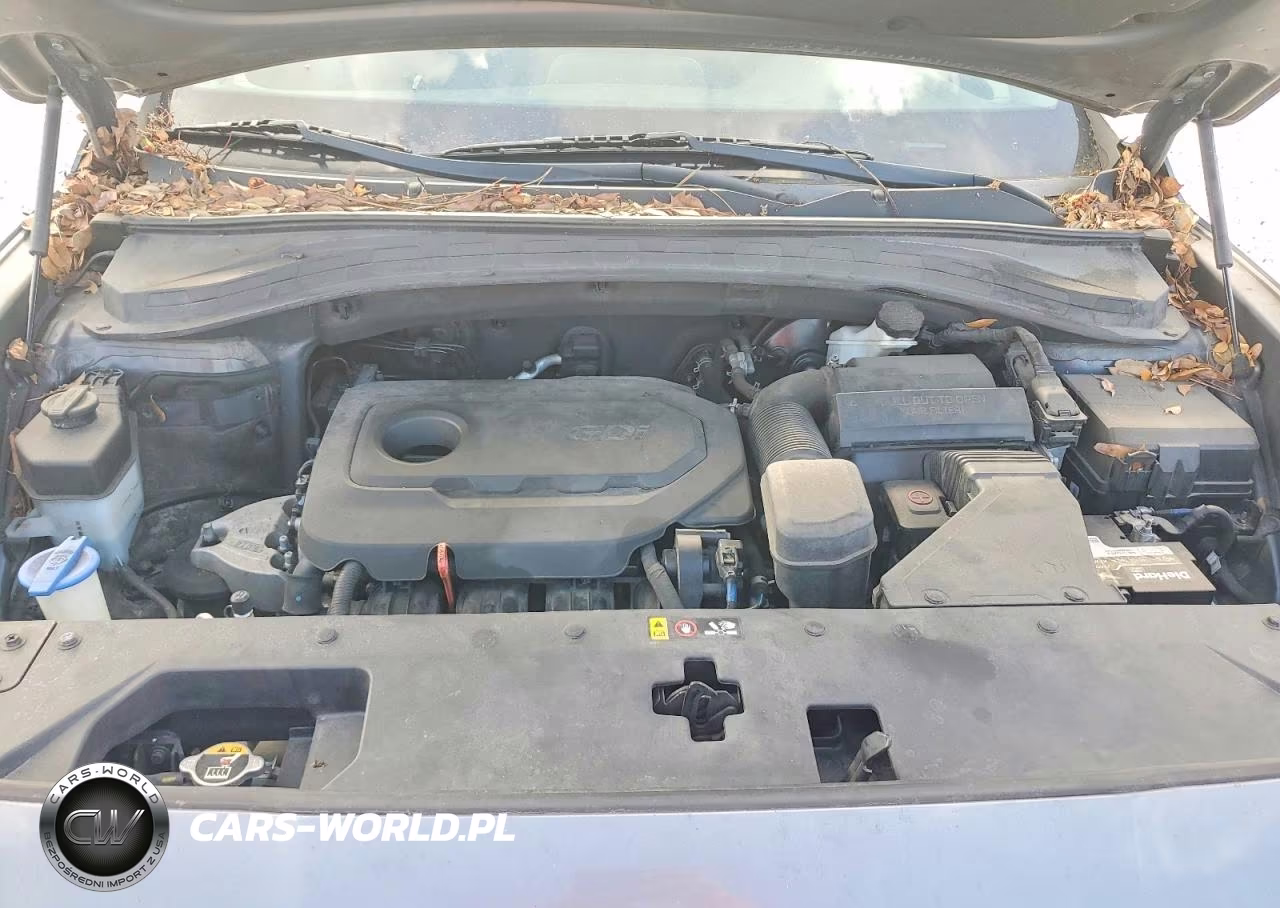 2020 Hyundai Santa Fe VIN:5NMS23AD8LH141568 - 12