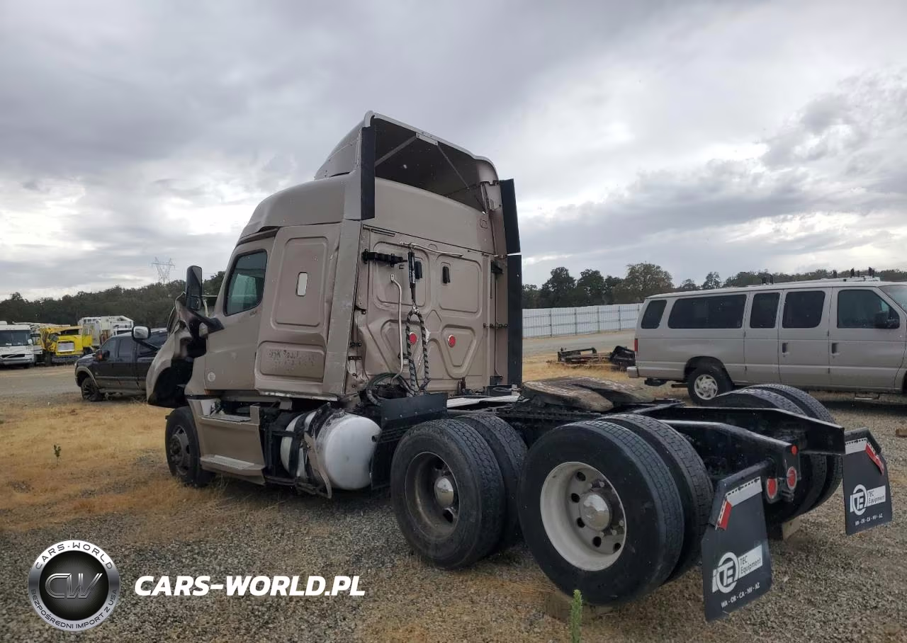 2019 Freightliner Cascadia 126 VIN:3AKJHHDV4KSJW8904 - 3