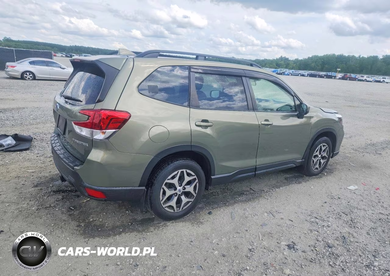 2019 Subaru Forester Premium VIN:JF2SKAGC0KH495234 - 3