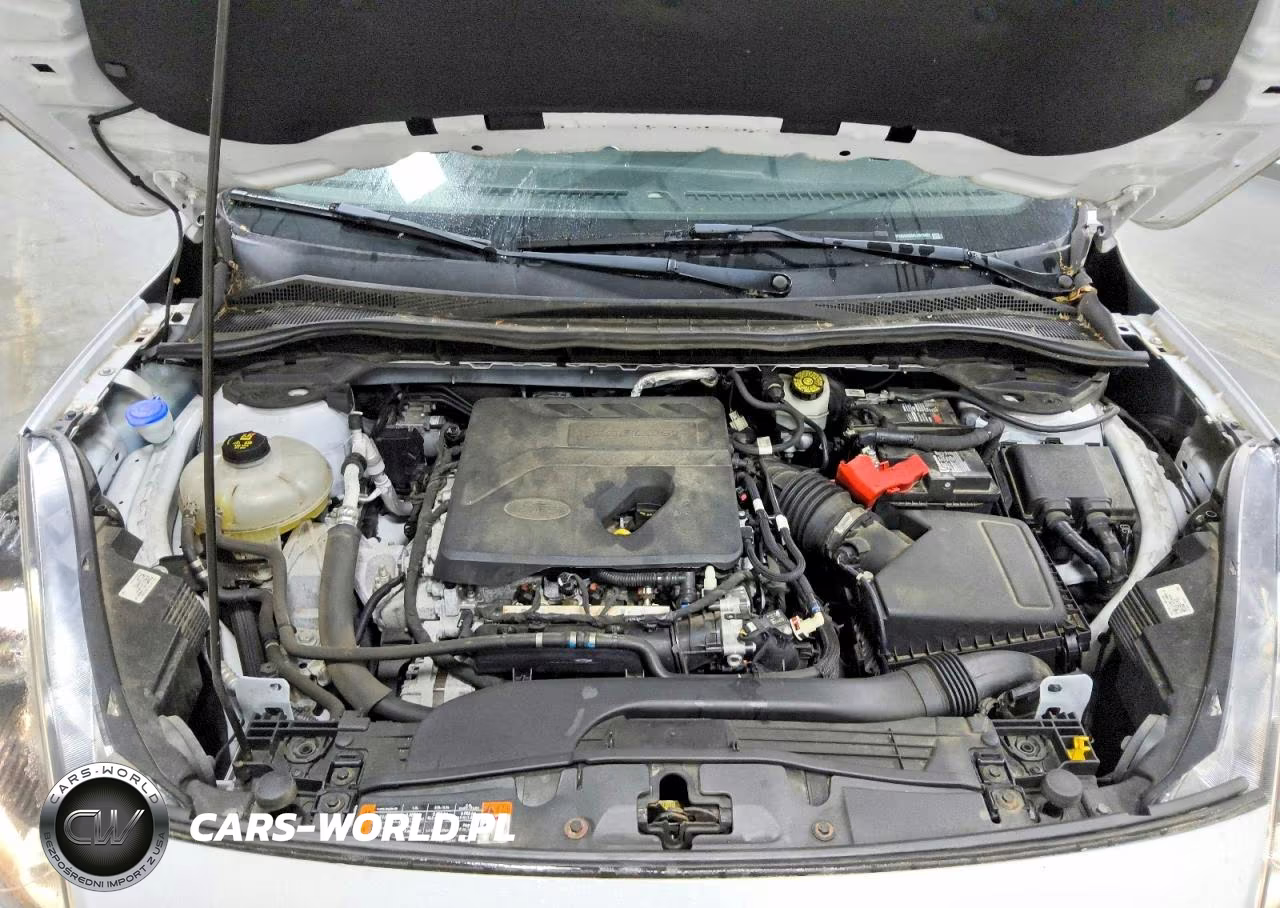 2020 Ford Escape Se VIN:1FMCU0G69LUB13451 - 12