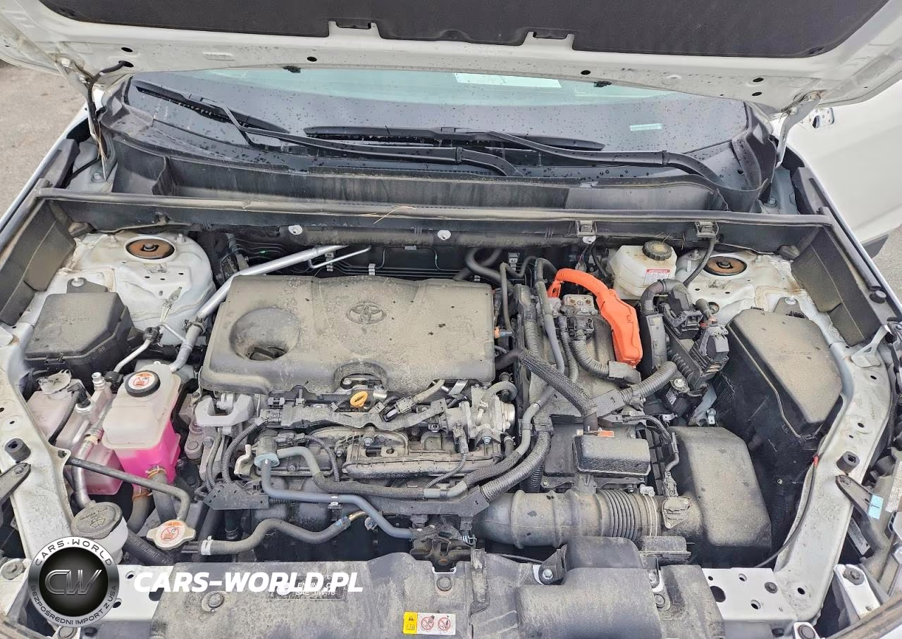 2024 Toyota Rav4 Hybrid Xle VIN:2T3RWRFV7RW198162 - 12