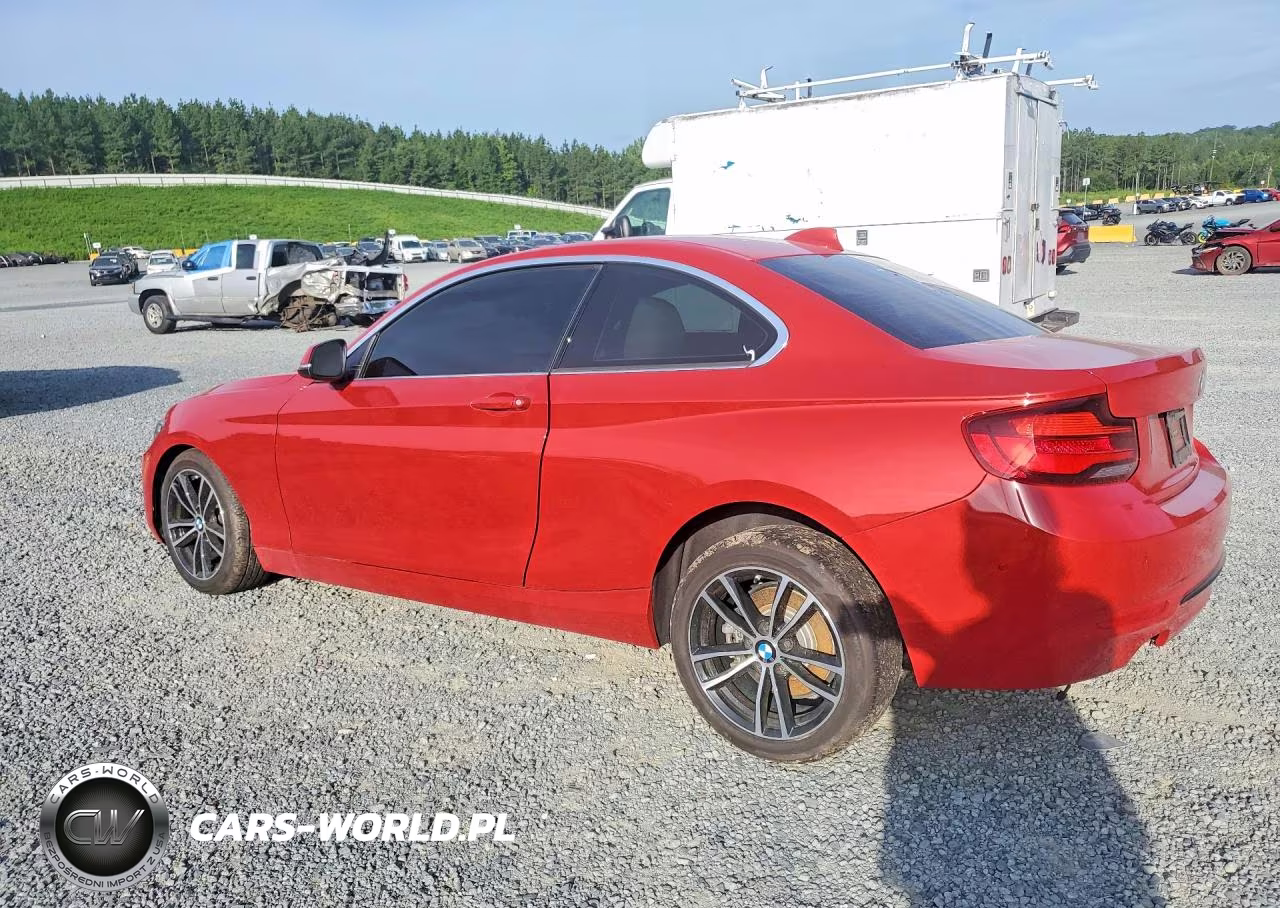 2020 BMW 230I VIN:WBA2J1C08L7F74350 - 2