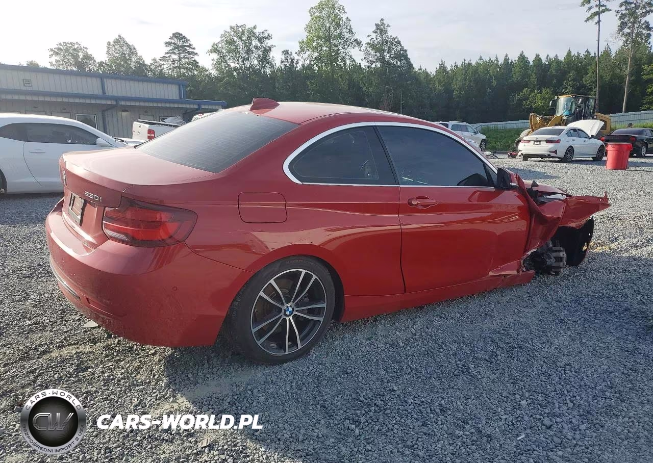 2020 BMW 230I VIN:WBA2J1C08L7F74350 - 3