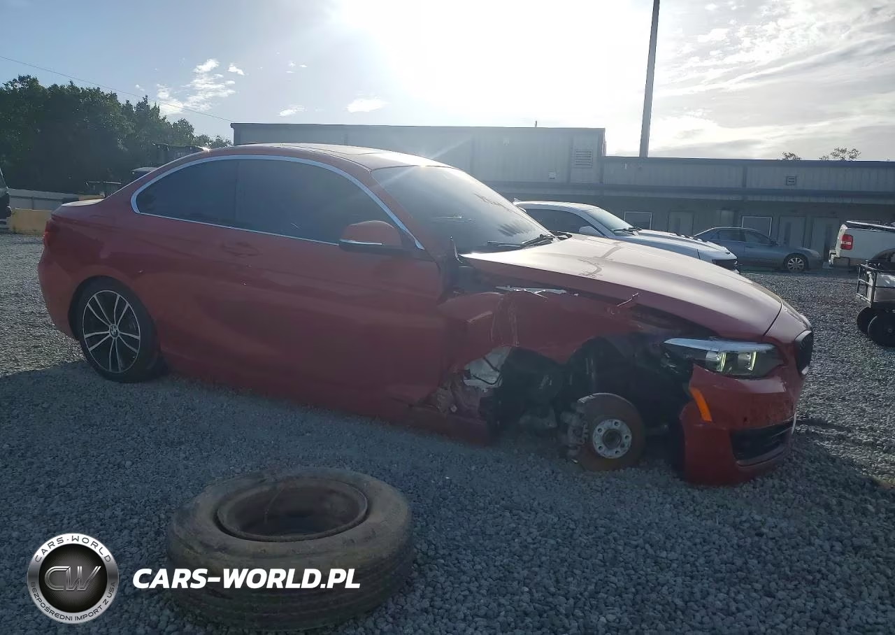 2020 BMW 230I VIN:WBA2J1C08L7F74350 - 4