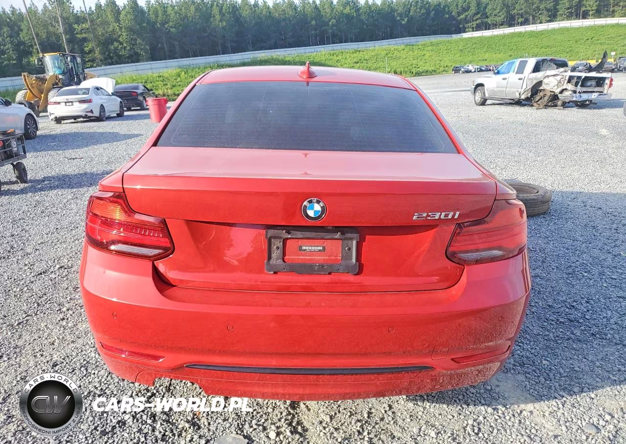 2020 BMW 230I VIN:WBA2J1C08L7F74350 - 6