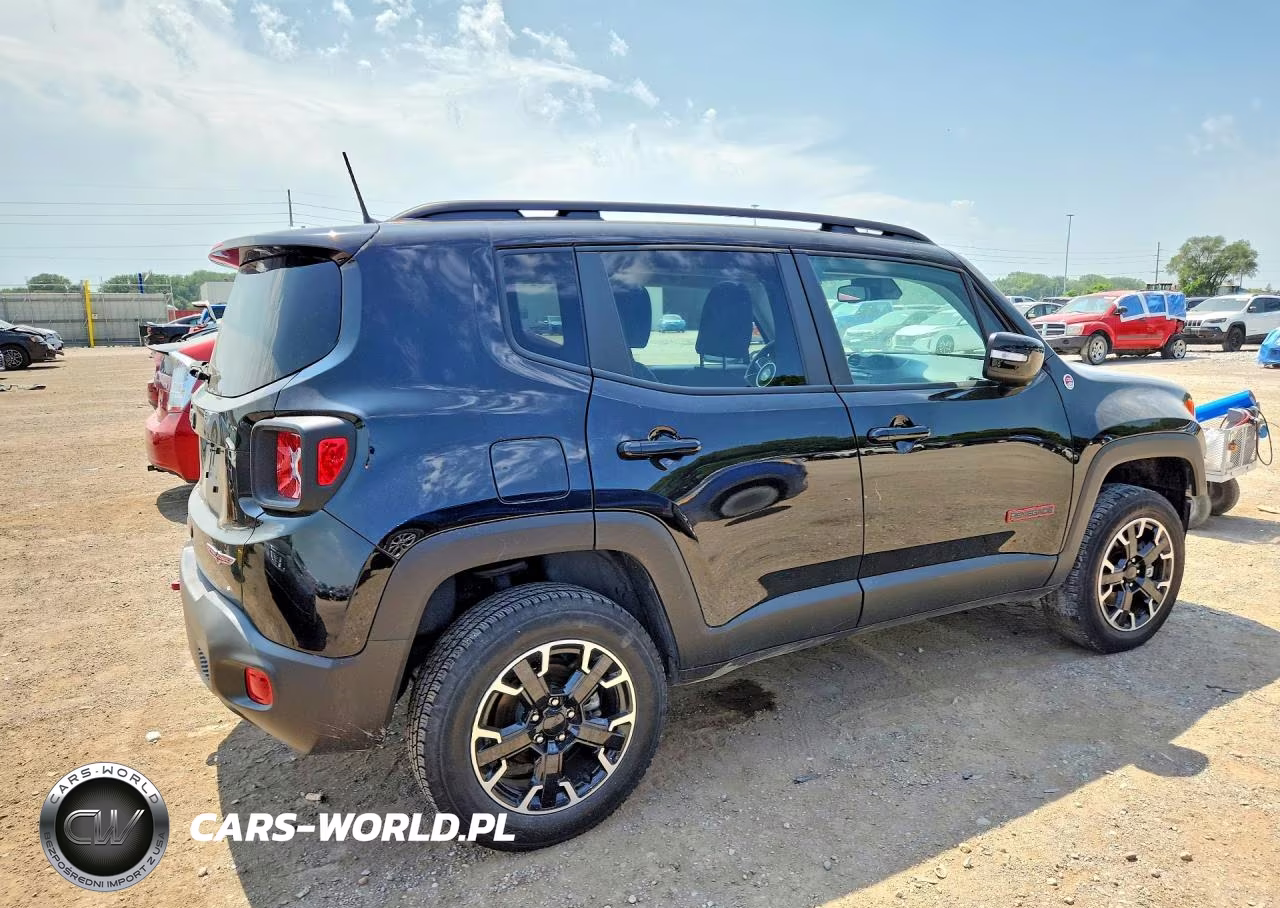 2023 Jeep Renegade Trailhawk VIN:ZACNJDC16PPP63446 - 3