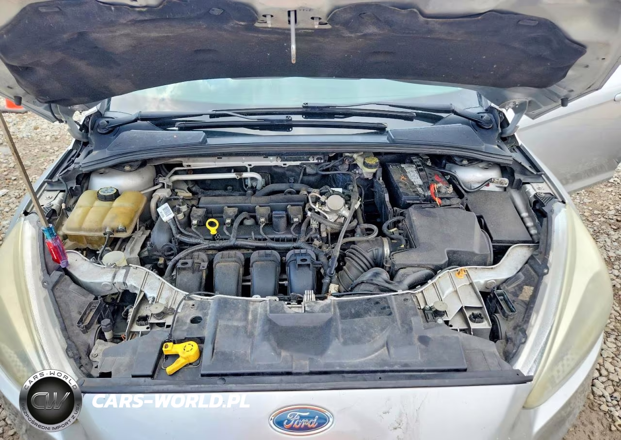 FORD FOCUS VIN:1FADP3K20GL308992 - 11