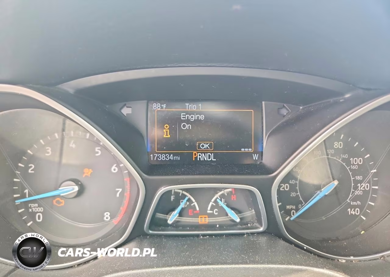 FORD FOCUS VIN:1FADP3K20GL308992 - 9