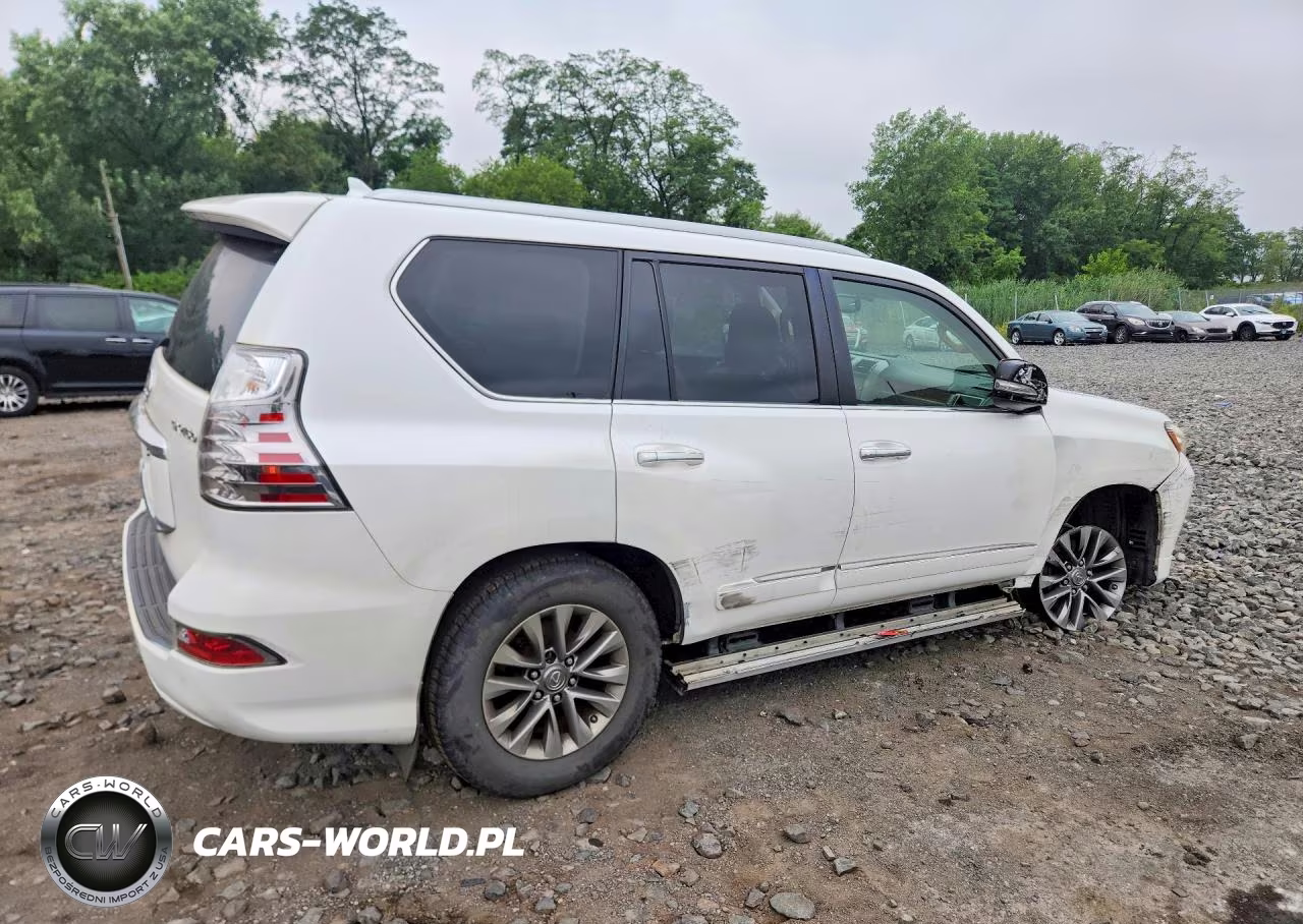 2015 Lexus Gx 460 Premium VIN:JTJJM7FX0F5117141 - 3