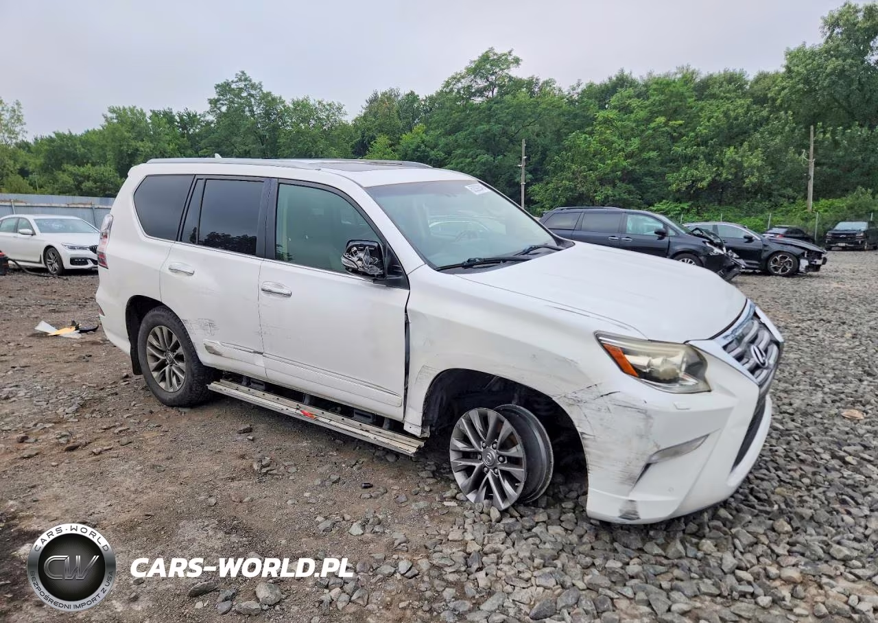2015 Lexus Gx 460 Premium VIN:JTJJM7FX0F5117141 - 4