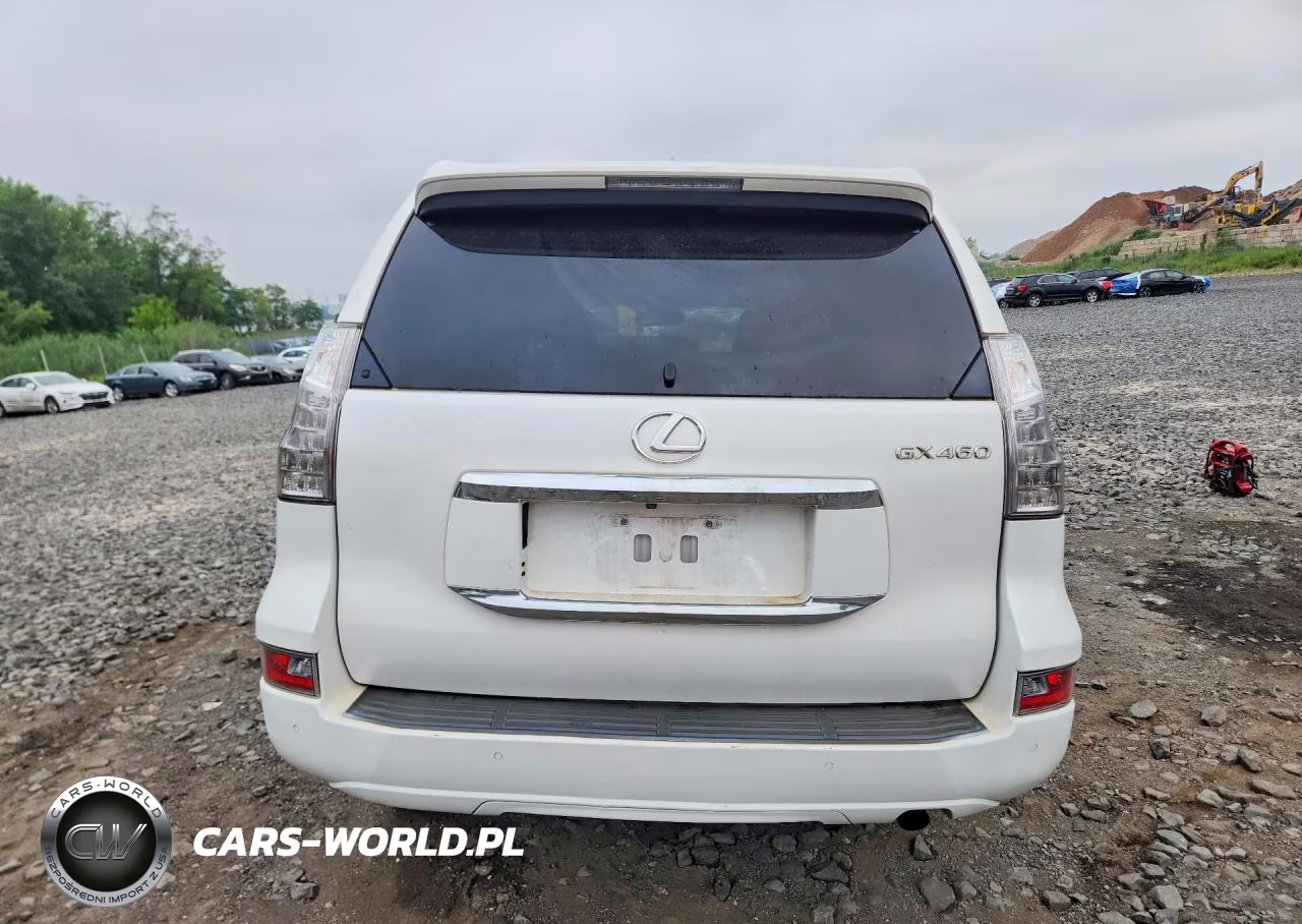 2015 Lexus Gx 460 Premium VIN:JTJJM7FX0F5117141 - 6
