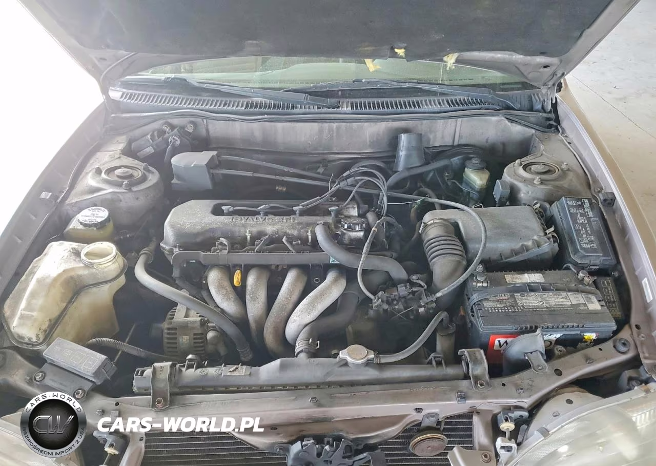 1999 Toyota Corolla Ve VIN:1NXBR18E6XZ207060 - 11