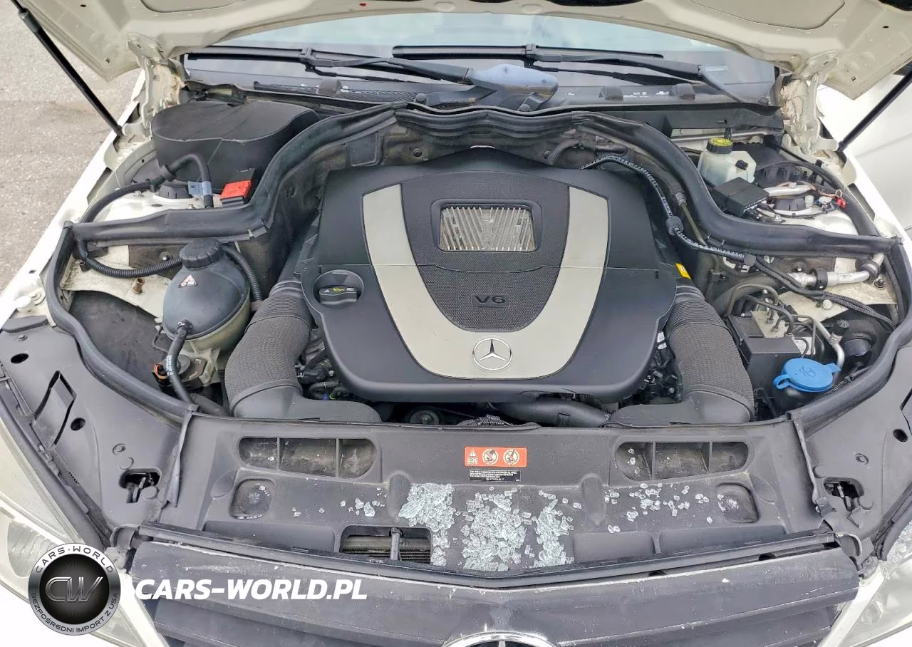 2010 Mercedes-Benz C 300 4Matic VIN:WDDGF8BB8AF420491 - 11