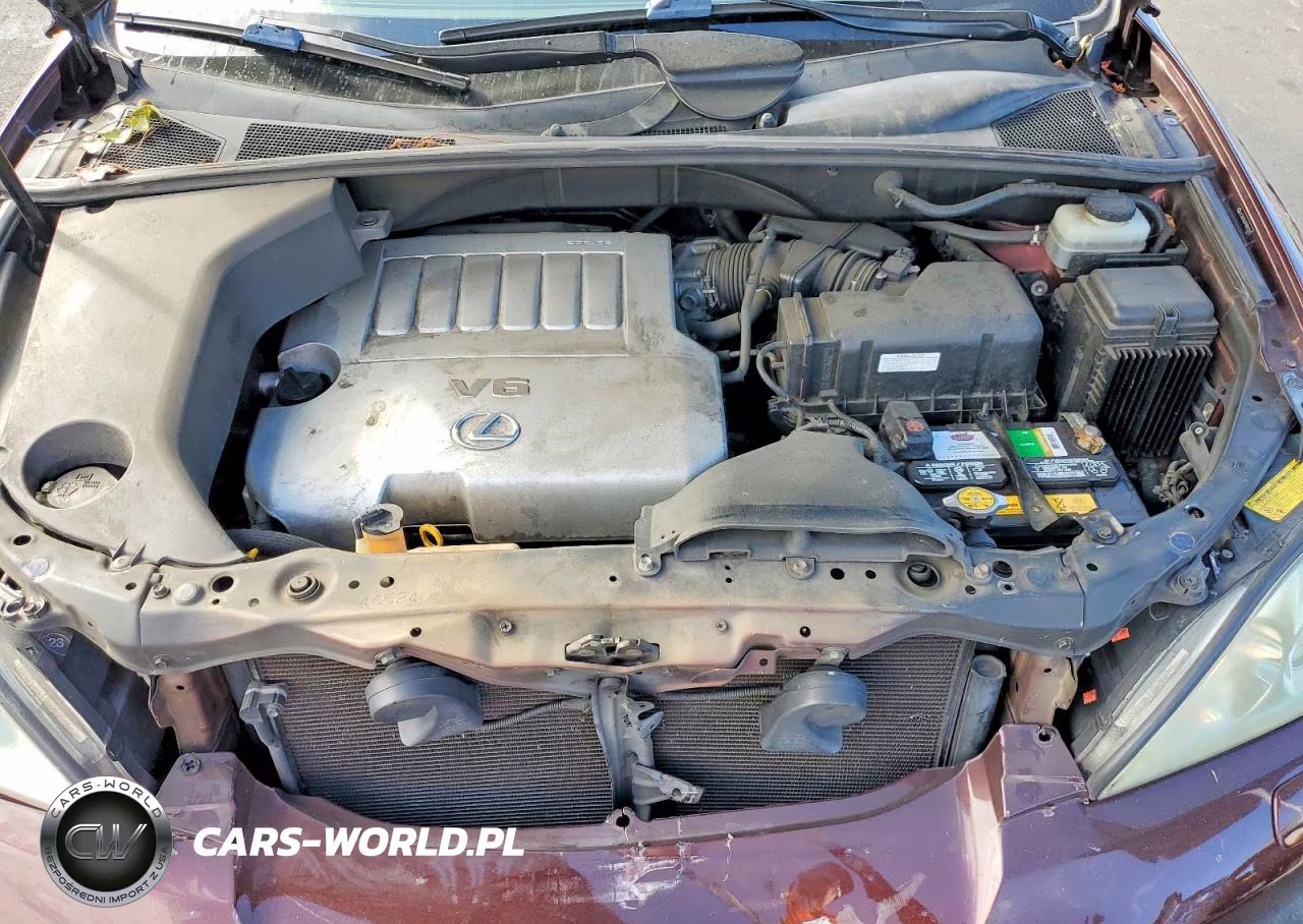2009 Lexus Rx 350 VIN:JTJGK31U199852262 - 12