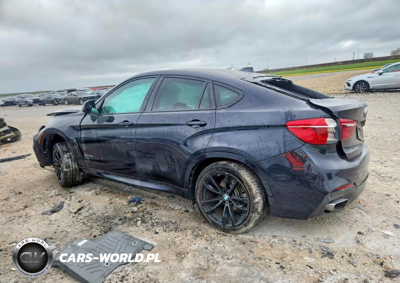2018 BMW X6 Sdrive35I VIN:5UXKU0C53J0G81245 - 2