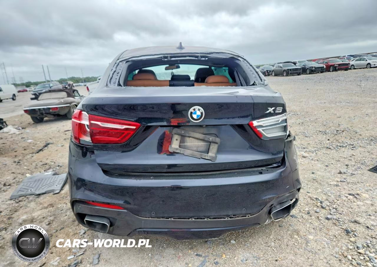 2018 BMW X6 Sdrive35I VIN:5UXKU0C53J0G81245 - 6