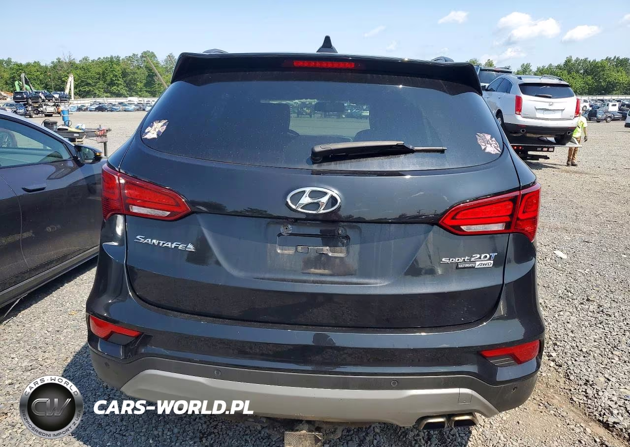 2017 Hyundai Santa Fe Sport 2.0T Ultimate VIN:5XYZWDLA9HG395044 - 6