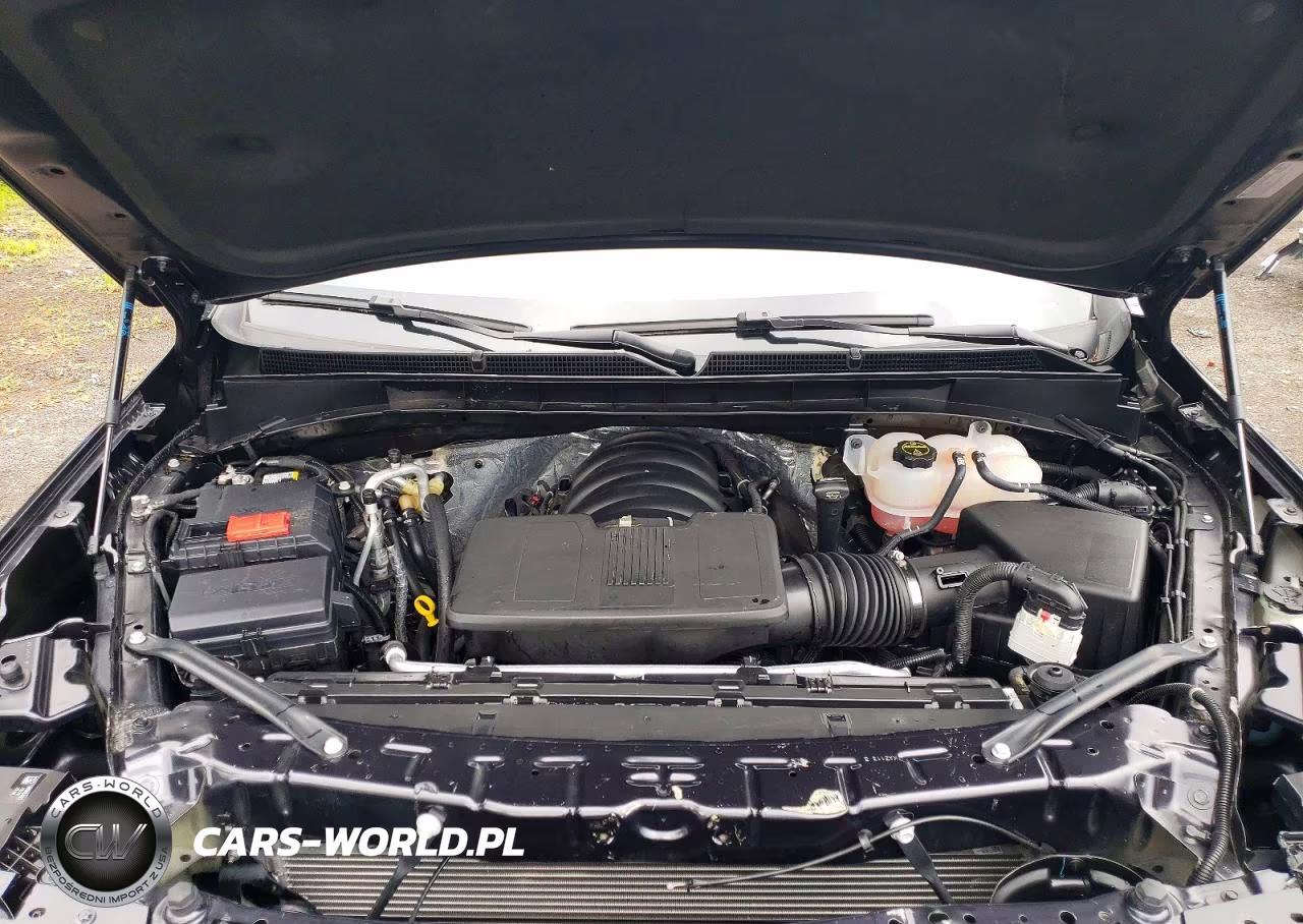 2025 Cadillac Escalade Esv Sport VIN:1GYS9PRL8SR295328 - 12