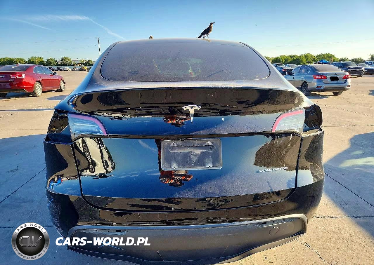 2024 Tesla Model Y VIN:7SAYGDEE6RA325311 - 6