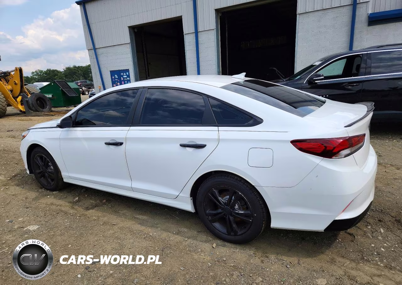 2019 Hyundai Sonata Sel VIN:5NPE34AF5KH816912 - 2