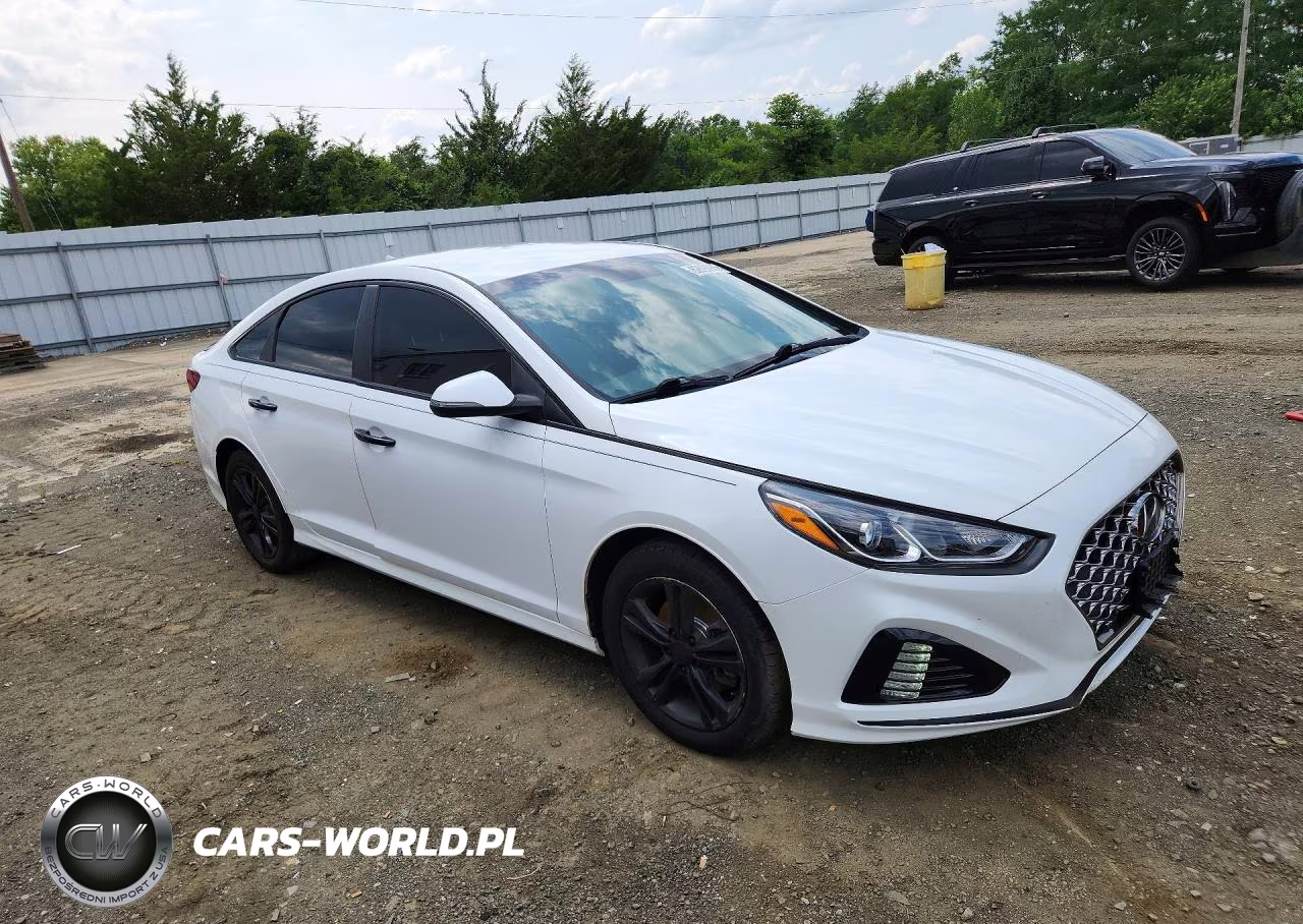 2019 Hyundai Sonata Sel VIN:5NPE34AF5KH816912 - 4