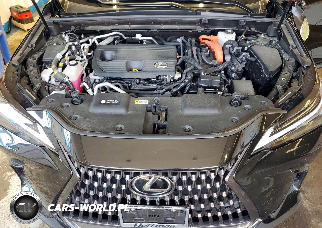 2022 Lexus Nx 450H VIN:JTJHKCFZ6N2010254 - 12