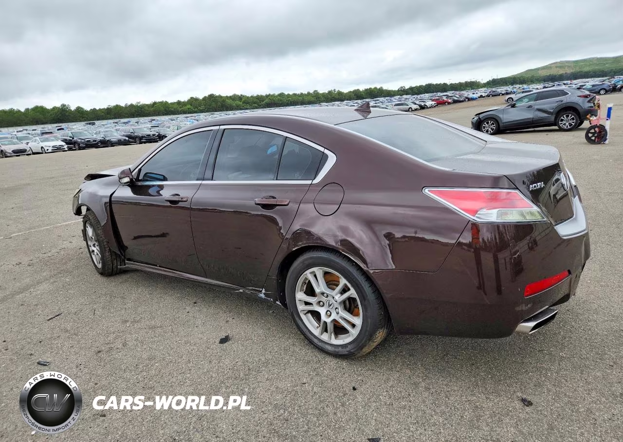 2009 Acura Tl VIN:19UUA86209A015502 - 2