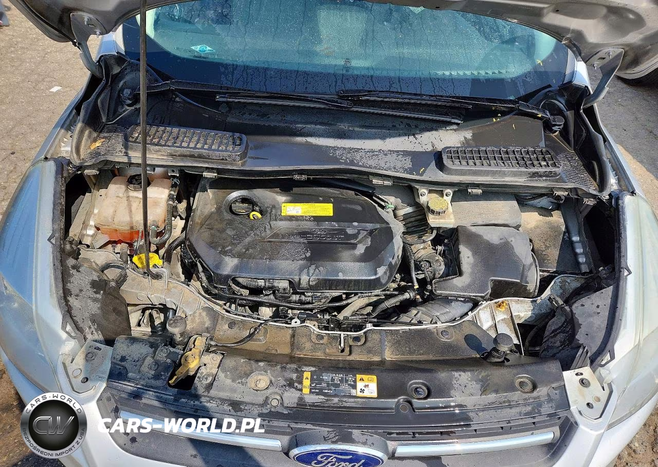 2014 Ford Escape Se VIN:1FMCU0GX8EUB27255 - 12