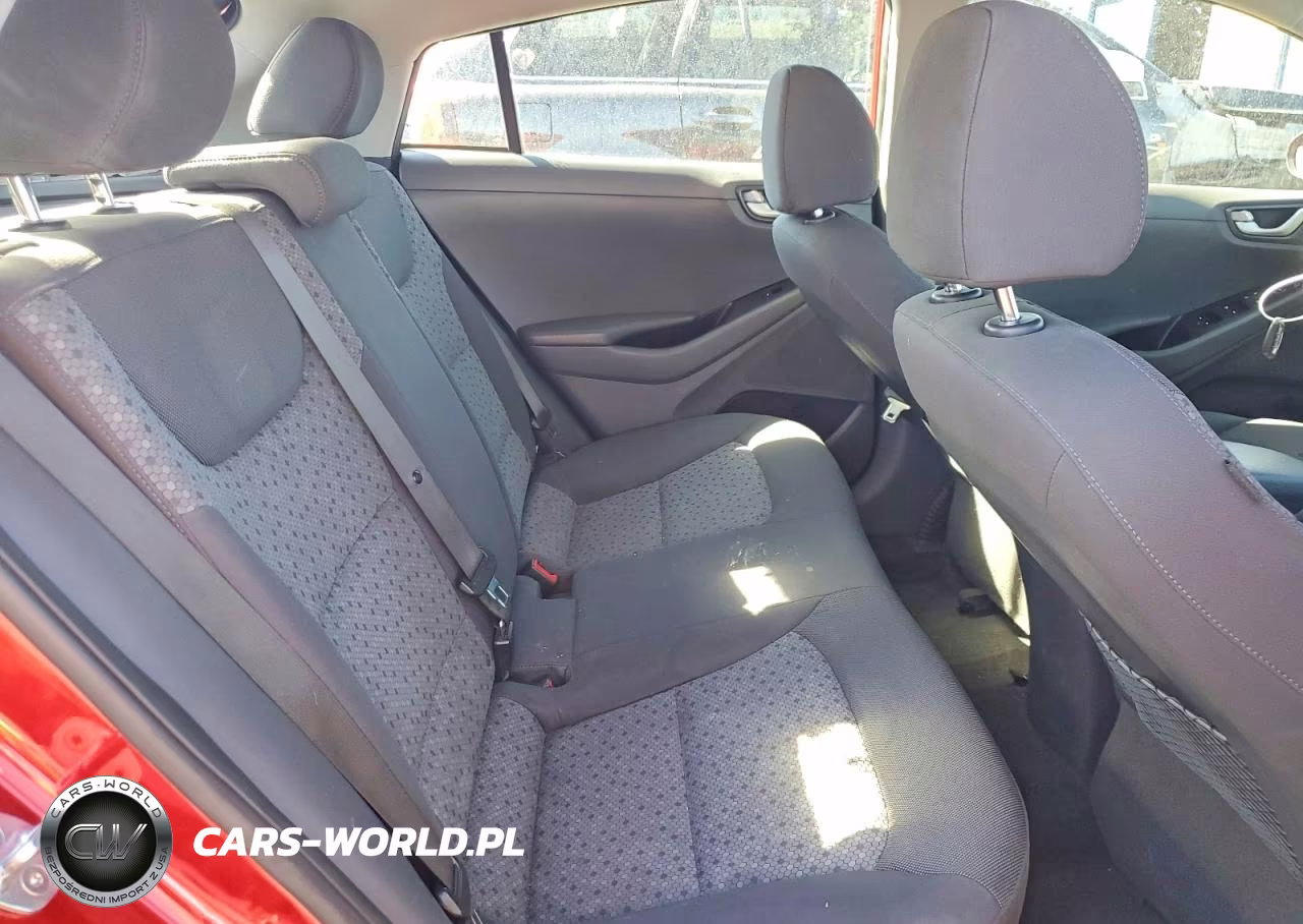 2019 Hyundai Ioniq Blue VIN:KMHC65LC1KU176206 - 10