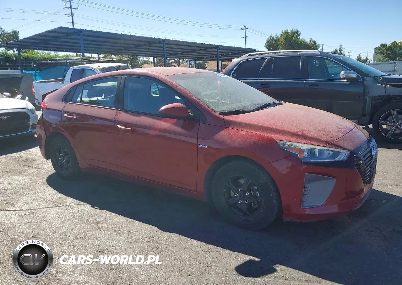 2019 Hyundai Ioniq Blue VIN:KMHC65LC1KU176206 - 4