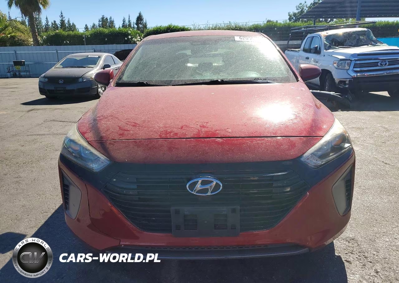 2019 Hyundai Ioniq Blue VIN:KMHC65LC1KU176206 - 5