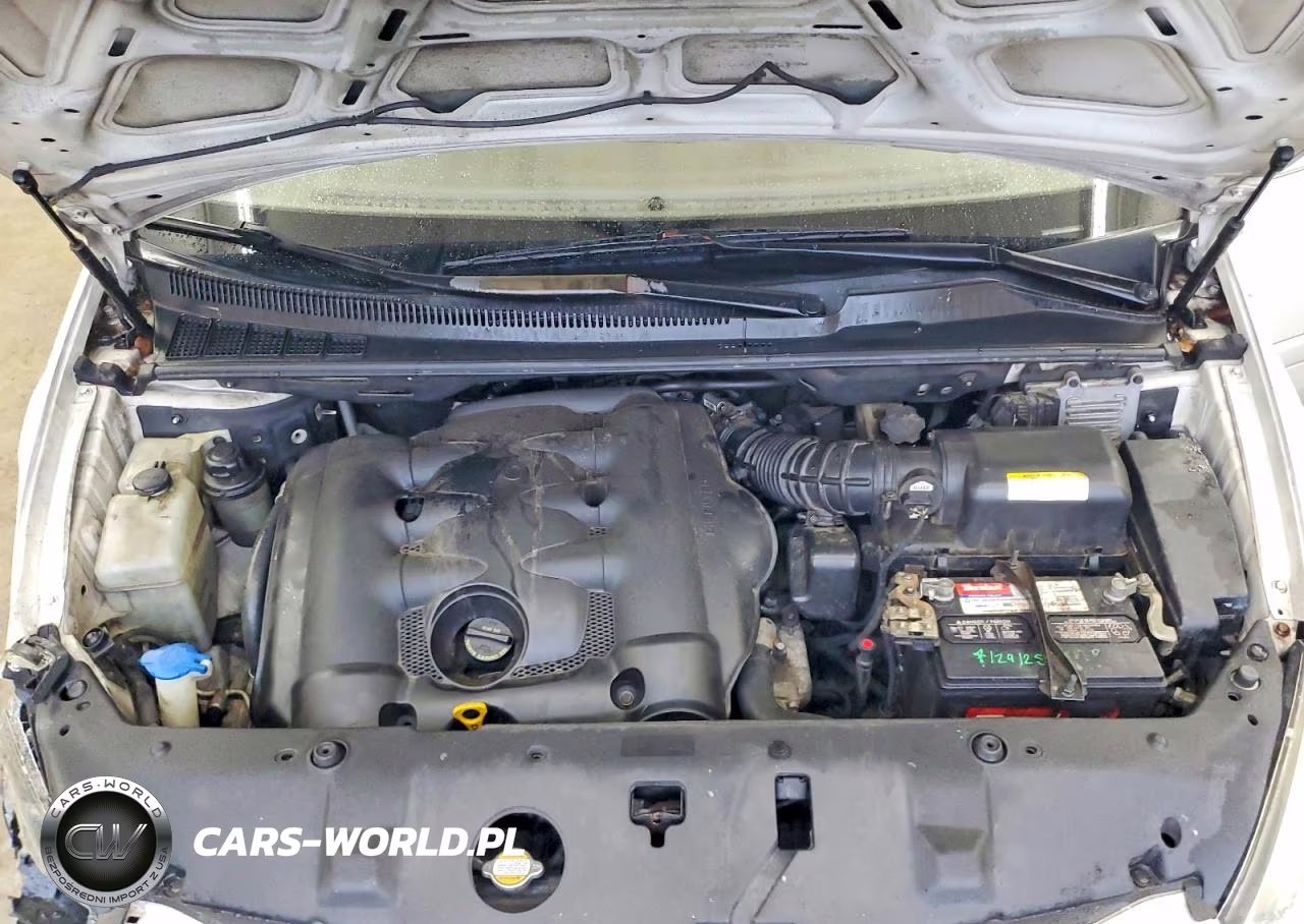2009 Kia Sedona Lx VIN:KNDMB233296320069 - 12