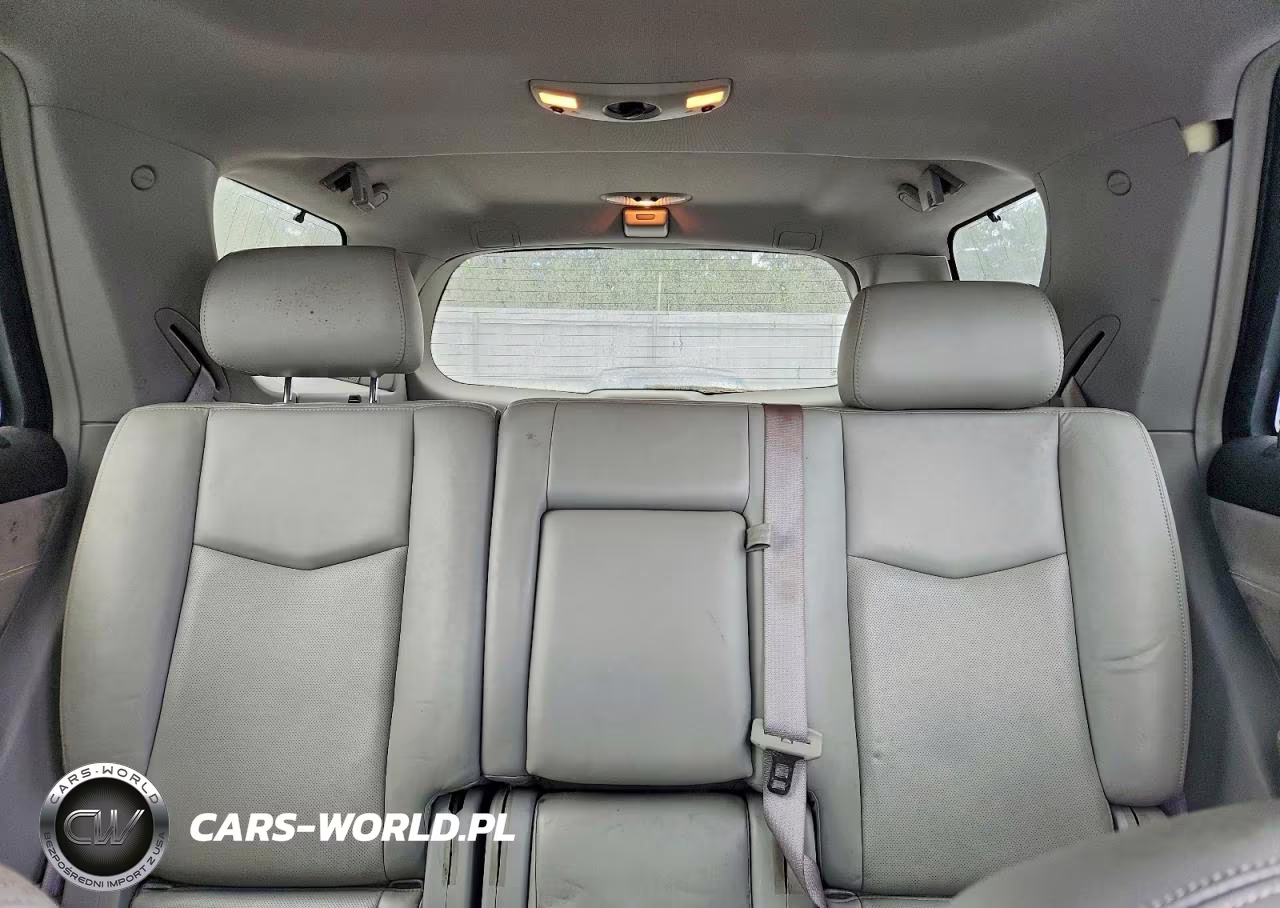 2007 Cadillac Srx VIN:1GYEE637470145100 - 10