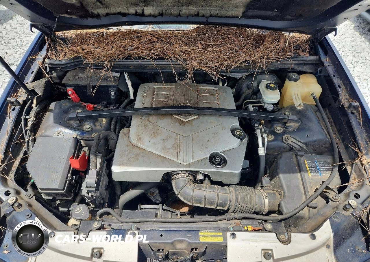 2007 Cadillac Srx VIN:1GYEE637470145100 - 12