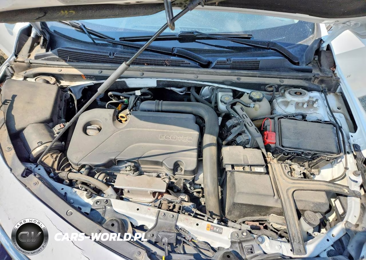 2019 Chevrolet Malibu Lt VIN:1G1ZD5ST1KF165323 - 11