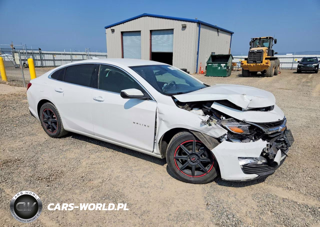 2019 Chevrolet Malibu Lt VIN:1G1ZD5ST1KF165323 - 4