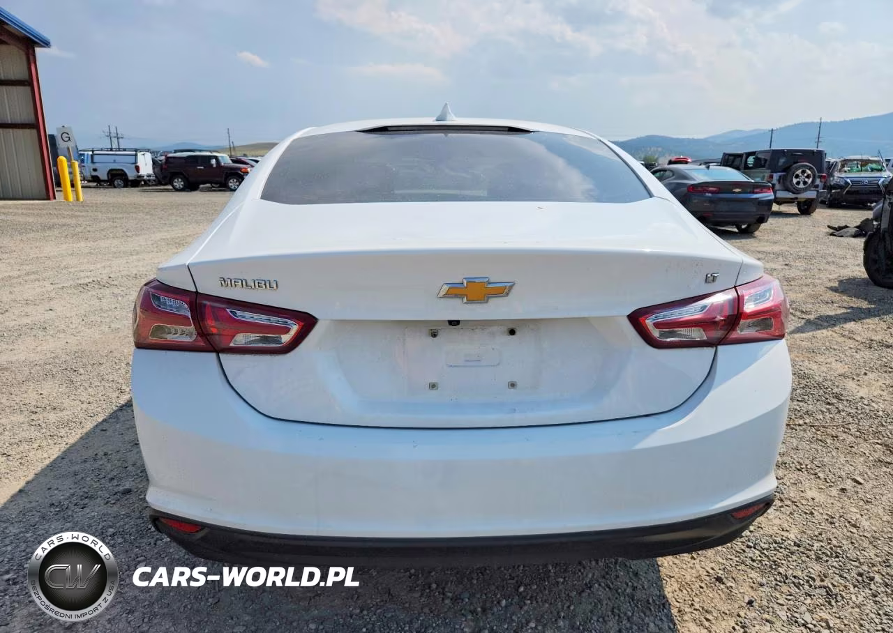 2019 Chevrolet Malibu Lt VIN:1G1ZD5ST1KF165323 - 6