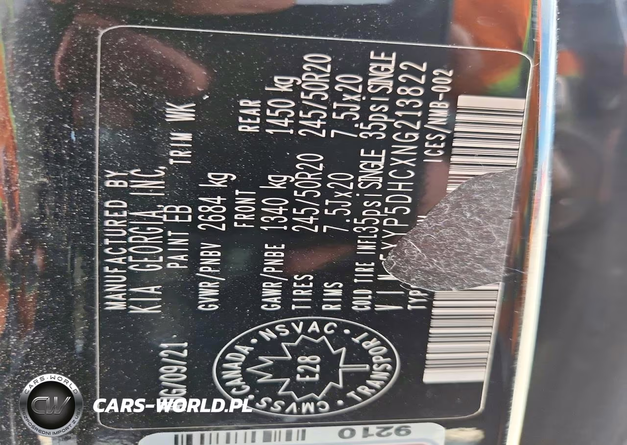 2022 Kia Telluride Sx VIN:5XYP5DHCXNG213822 - 13