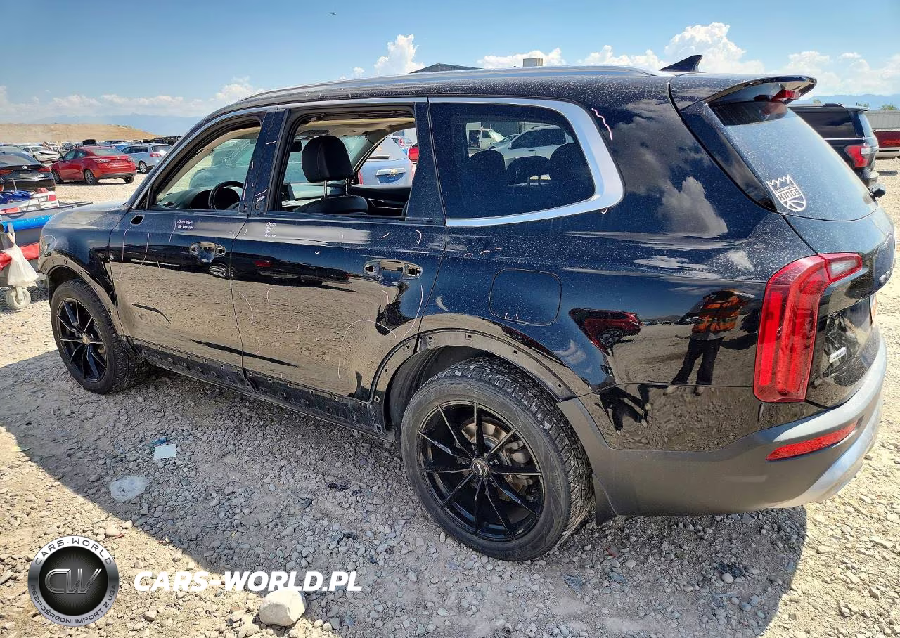 2022 Kia Telluride Sx VIN:5XYP5DHCXNG213822 - 2