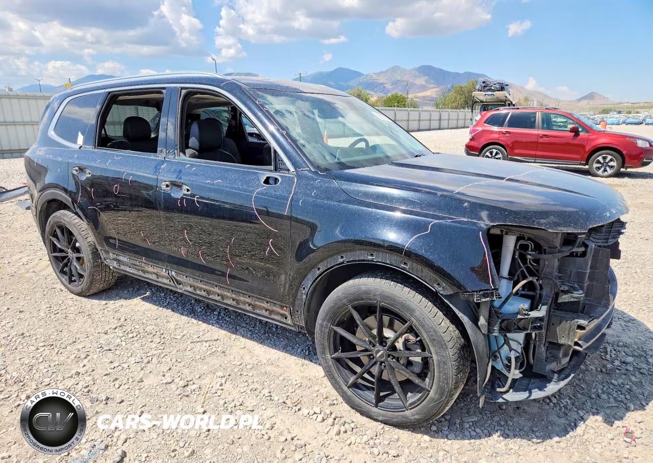2022 Kia Telluride Sx VIN:5XYP5DHCXNG213822 - 4