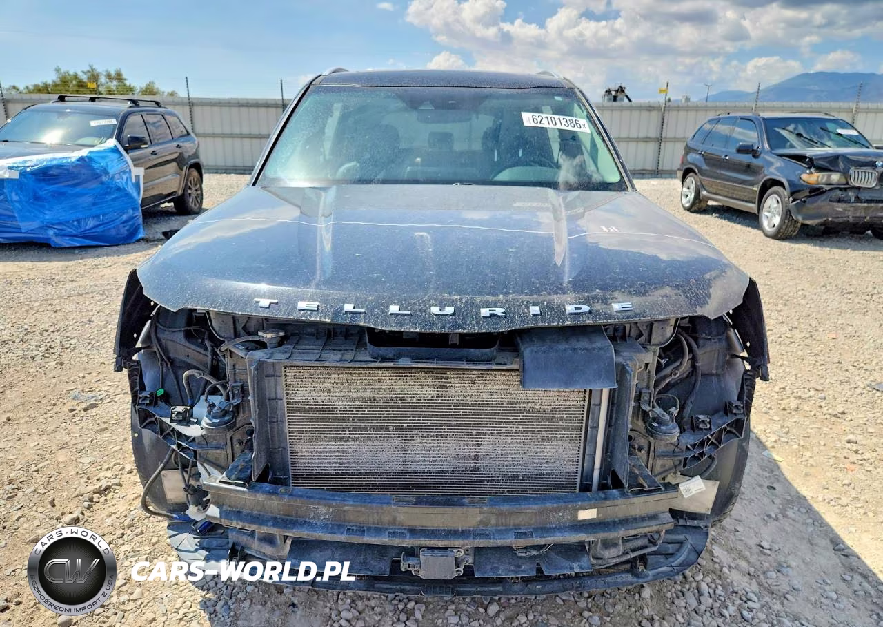 2022 Kia Telluride Sx VIN:5XYP5DHCXNG213822 - 5